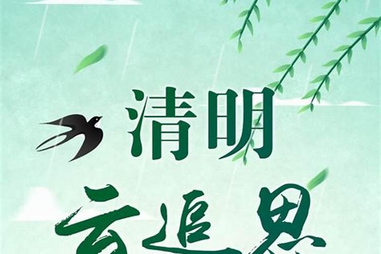 1987年属兔2025年的运势及运程如何