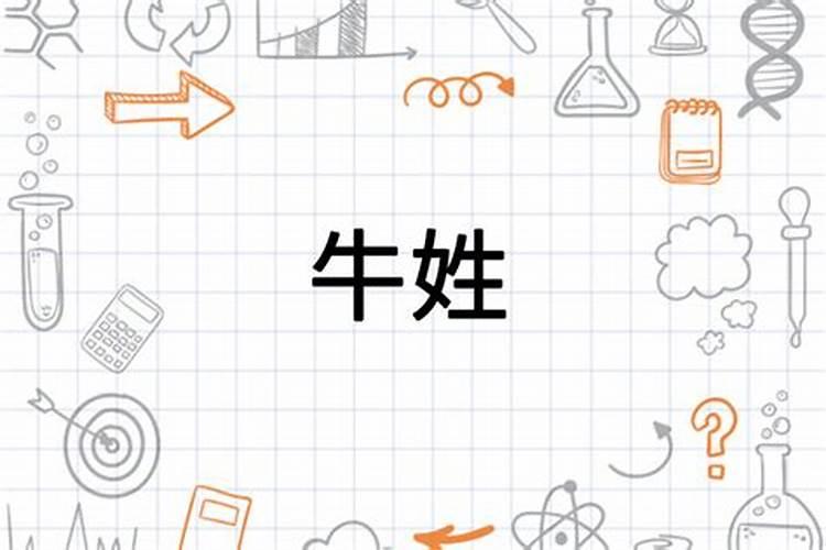 牛和羊属相合不合婚姻,牛羊相配是绝命