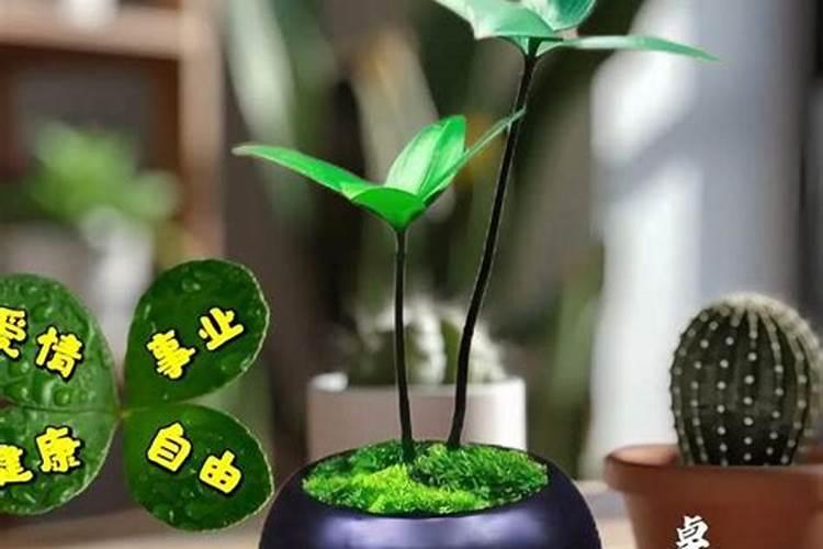 BB幸运值低于70的怎样才可以提高？