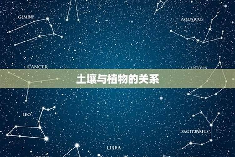 请大师请我们测算下我们的八字合不合？