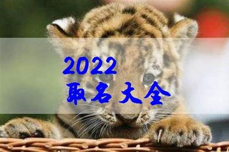 虎宝宝算命 2022年冬至出生的人好吗 五行缺什么？