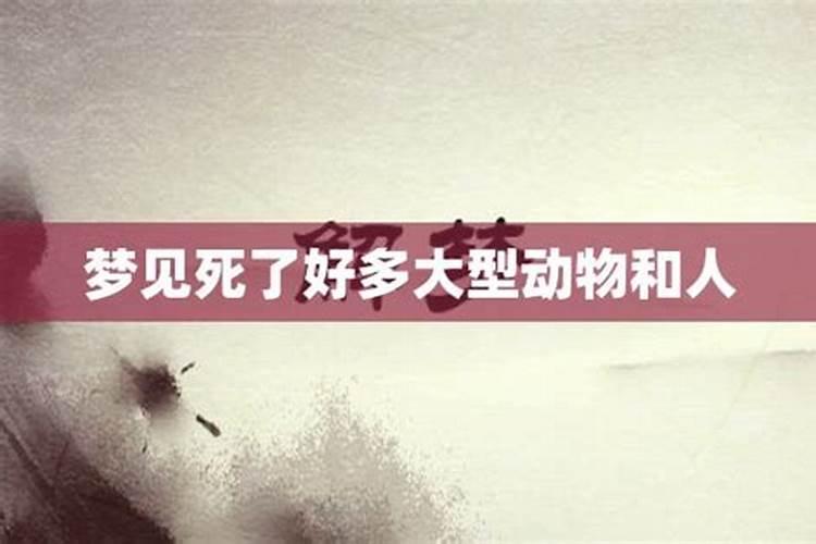 梦见车祸死人现场很惨 梦见车祸死人现场很惨的含义