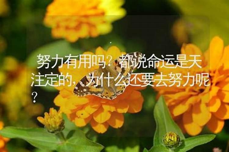命不好,再怎么努力都没用!命运对普通人真的没有公平可言吗？