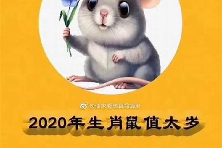 不同年份属鼠人2023年运势 1936年出生属鼠人2023年运势