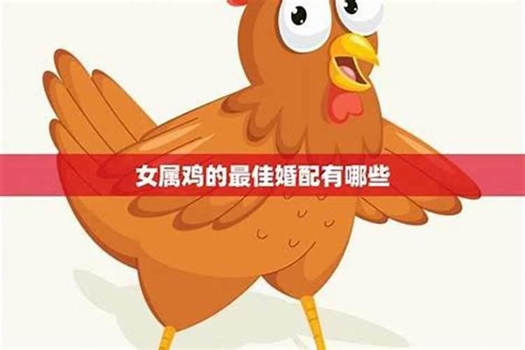 鸡相冲相克的生肖是什么,鸡和什么生肖相冲最凶