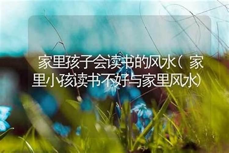 孩子的学习成绩与风水有关吗