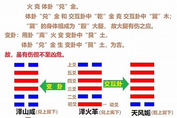 1983年12月出生的人是什么命
