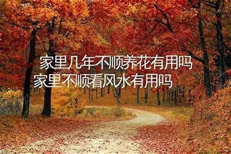 为啥家里总是连续好几年都很背呢？是什么原因造成的？
