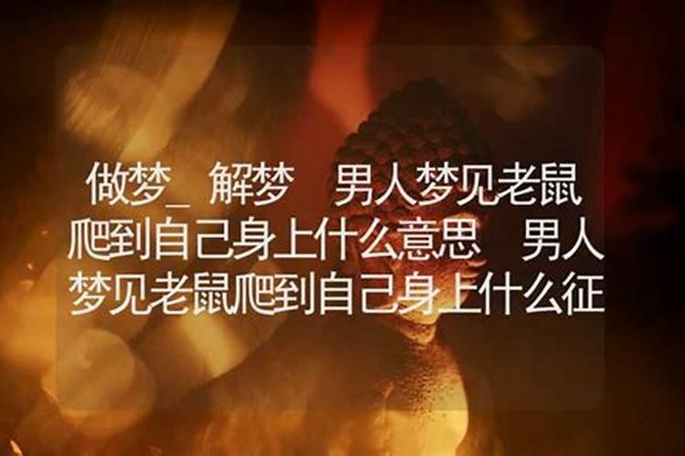 梦见大老鼠向自己扑来