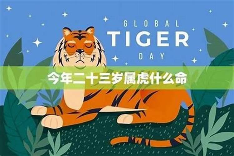为什么有的地方冬至扫墓