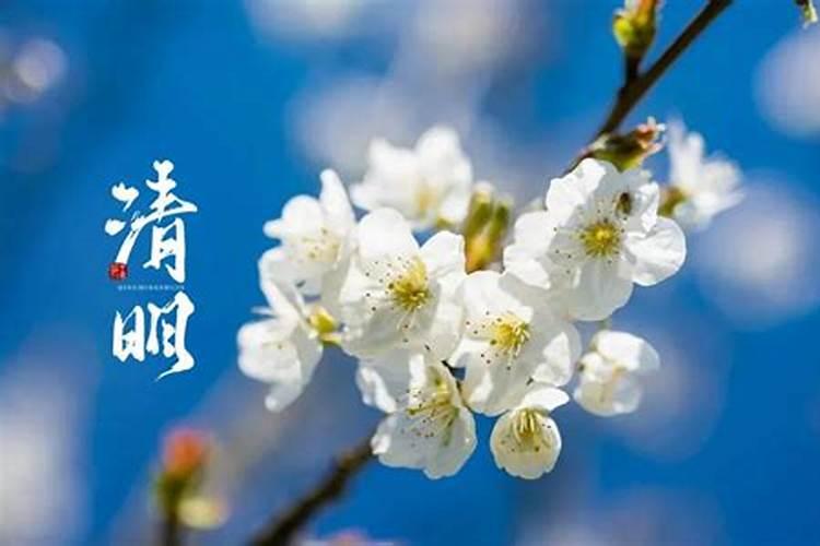 鬼节的由来 为什么会称农历七月十五位鬼节？