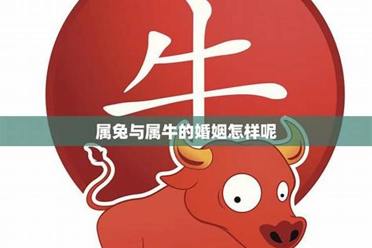一个家庭不能有两个属相的人吗,两个属相相同的人结婚能幸福吗？