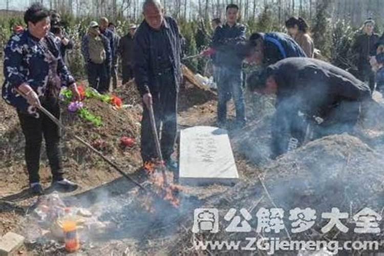 历史上属羊和属蛇的模范夫妻 男蛇女羊绝配吗
