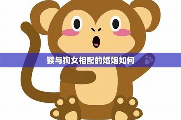 属狗女和属猴男属相最配,,属猴男和属狗女,可以在一起吗