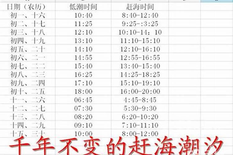 属猴人运气最好的年份