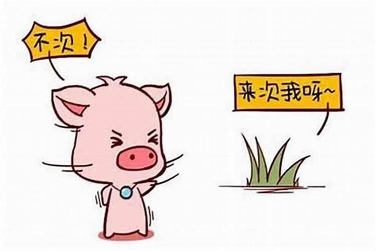 72男鼠71女猪属相婚配,71年的女猪和72年的男鼠婚配可以吗？ –