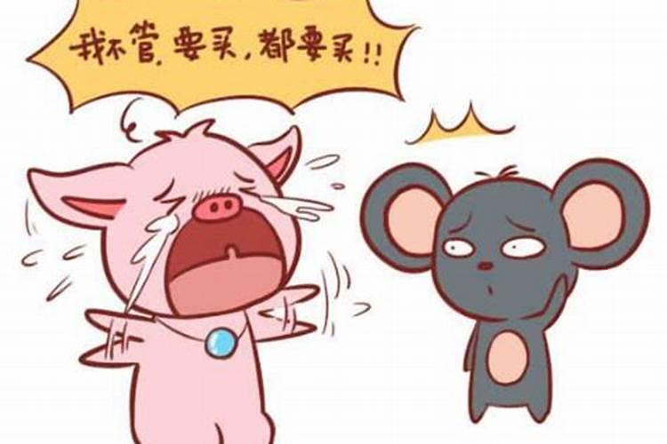 生肖鼠男和猪女婚配好不,属鼠男与属猪女婚配吗？