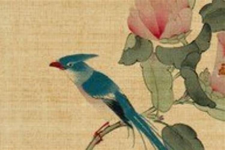 日本动画片中的一休到底是什么人？他的身世如何？成年后他怎么样啊？