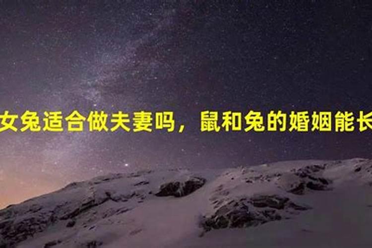 属虎和属兔的婚姻怎么样 虎配兔婚姻好不好