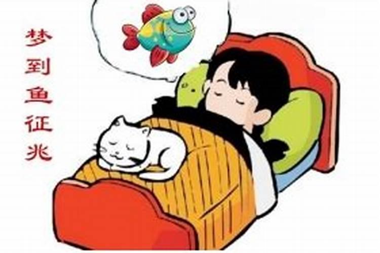梦到杀了只猫,梦到杀了猫什么意思