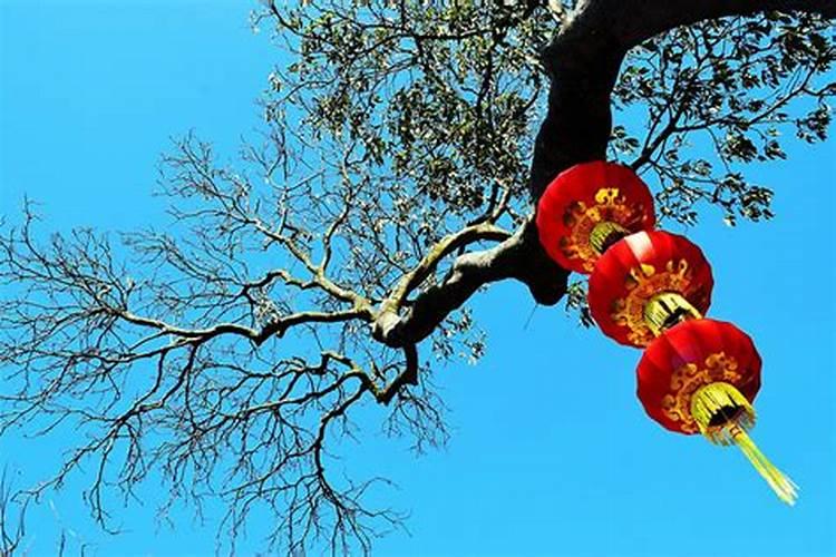 泉州冬至吃什么
