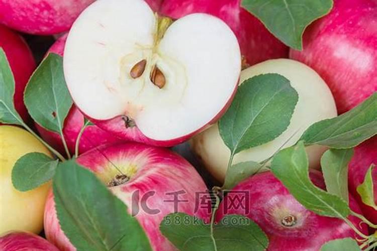 麦玲玲2020年风水布局