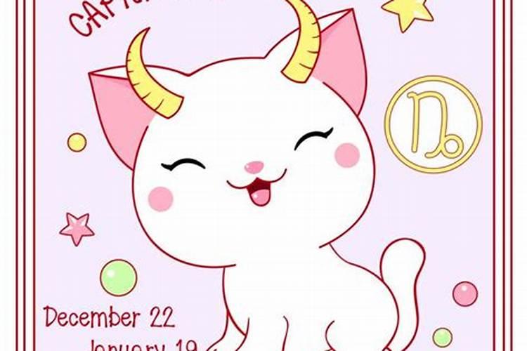 你好 我是12月22日 冬至出生的 应该属于摩羯座女 这个星座的人您觉得...