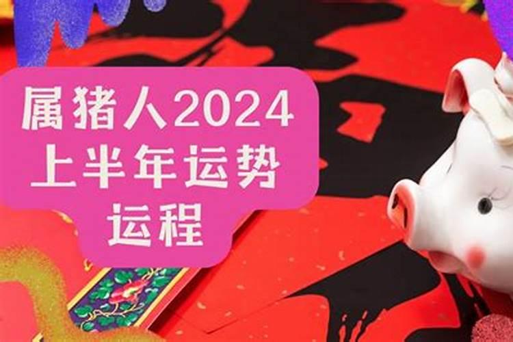 属猪能和属猪结婚吗 一起就是亥亥自刑吗