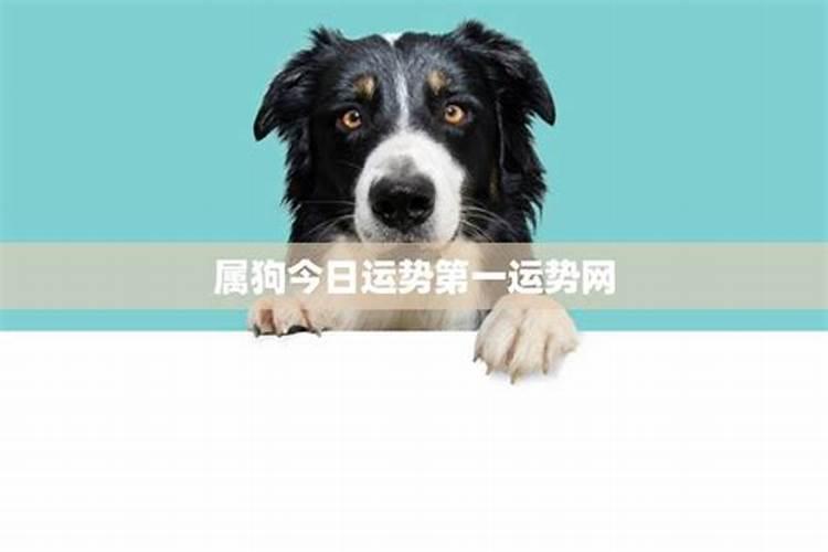 梦到车子丢了到处找车 梦到车子丢了到处找车好不好
