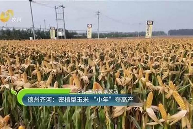 清明节的来源是什么