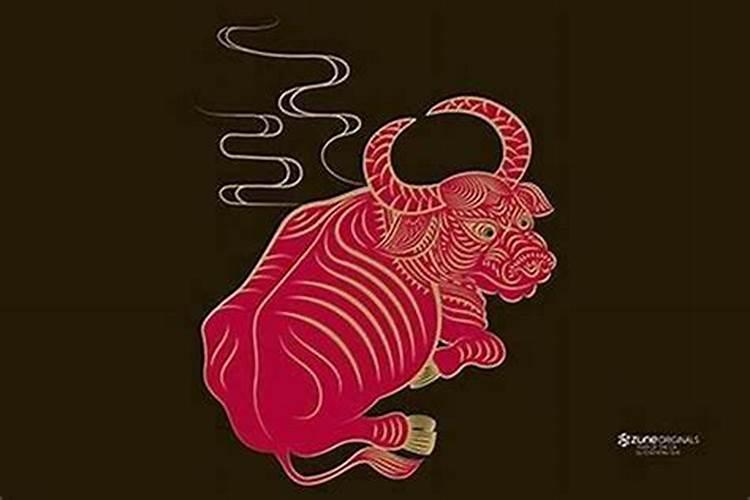 73年的牛一生命运如何