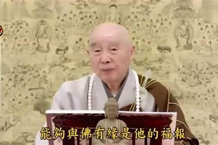 属虎人2025全年运势详解 属虎人2025年每月运势