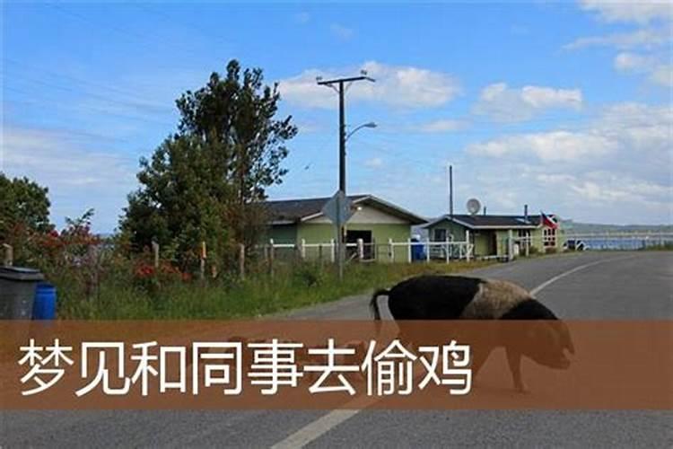 梦见偷鸡是什么意思