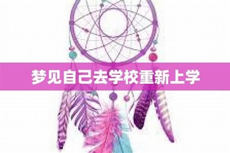 梦到重新回学校上学预示着什么？