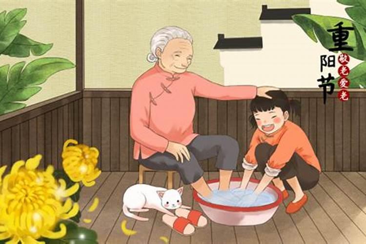 重阳节可以做哪些事情