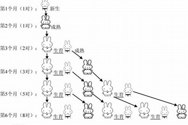 二月份的龙和九月份的兔八字合吗？