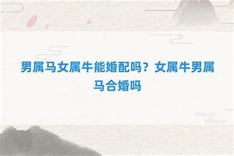 八字合婚:属马的女人与属马男合不合财 适合做夫妻吗