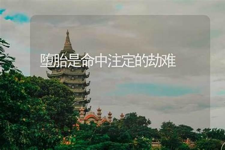 堕胎是命中注定的劫难,若无相欠,怎会相见
