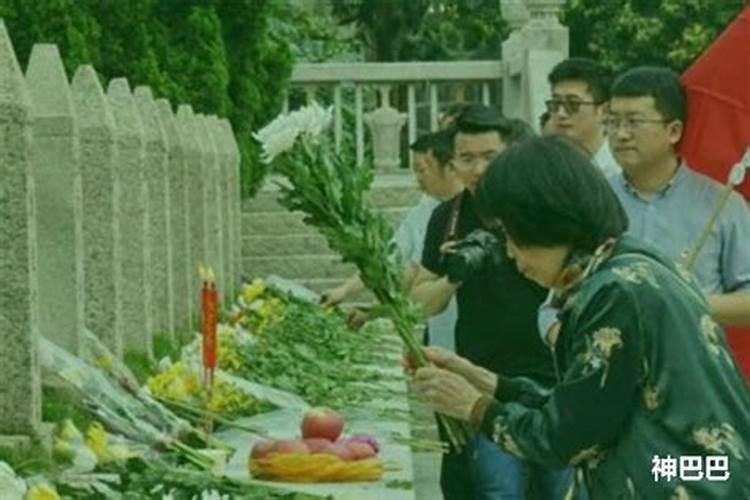 属蛇人犯太岁的化解方法