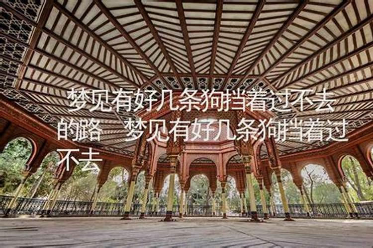 属相年龄对照表