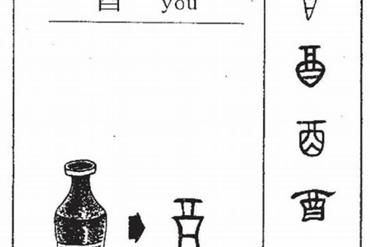 95年属猪的和什么属相犯冲