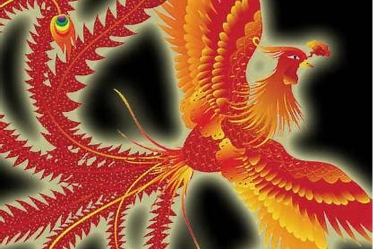 成功人士最多的属相
