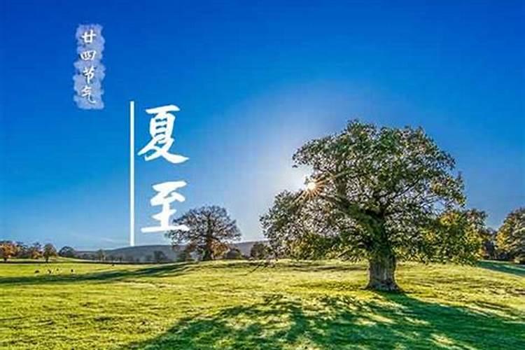 属猪2025年犯太岁怎么化解