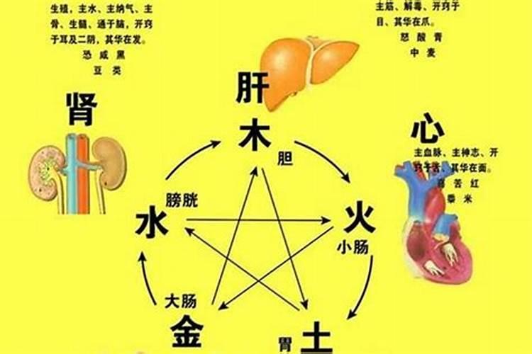 ...算命的说,我是尼姑命,我今年26了,也没对象？谁五行有4个木的...