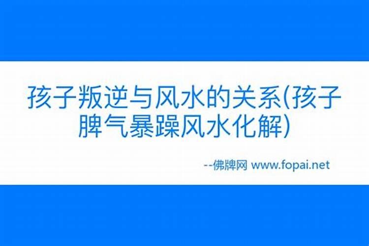 生肖蛇2025年运势及运程如何