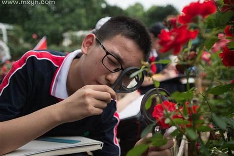 梦见同学是什么意思