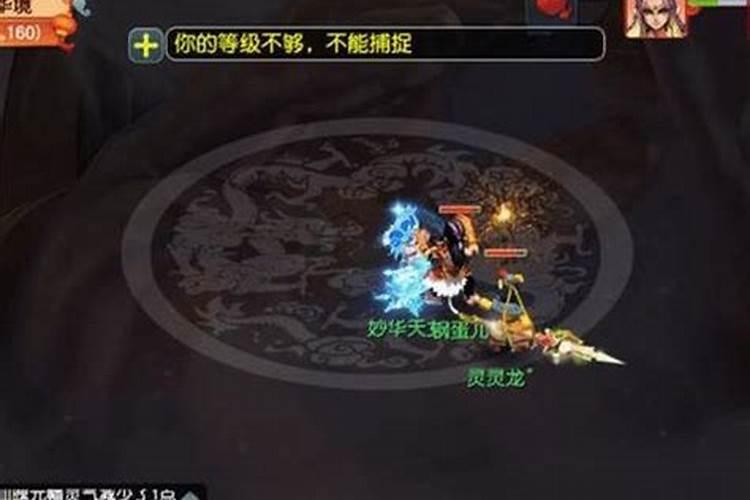 梦幻西游159怎么点七丹最省钱？