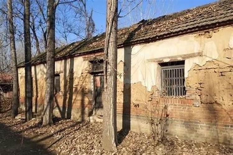 经常梦见已经离去的妈妈,和以前居住的老房子,