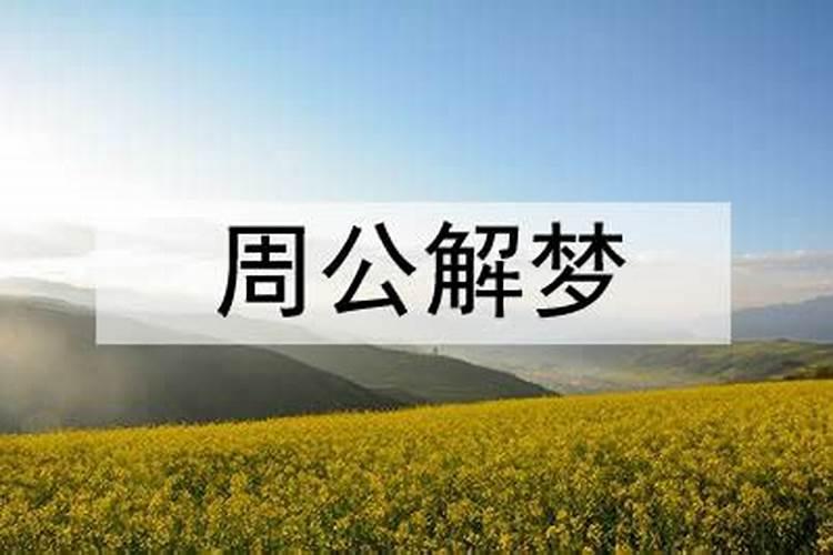 梦见和爸爸一起逛街买衣服