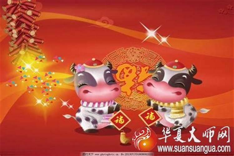 九五年闰八月的猪命非常好